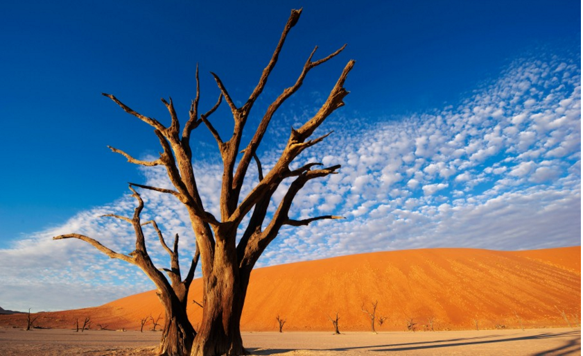 A desert in Namibia