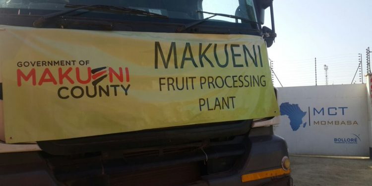 makueni mango plant