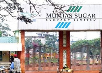 prosecute those behind mumias sugar downfall mp tells govt27245 L