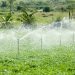 Irrigation Kenya