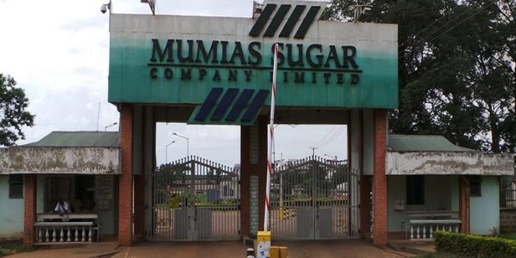 Mumias Sugar Company1