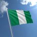 nigeria flag std