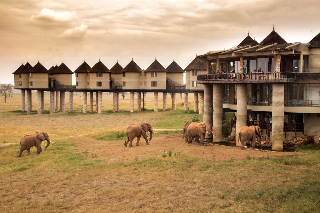 Sarova Salt Lick Game Lodge, Tsavo, Kenya - Booking.com - Kenyan Wallstreet