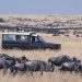 Maasai Mara Game Reserve Reopens under Strict Measures