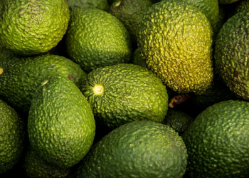 Sainsbury, Lidl Suspend Avocado Orders from Kakuzi