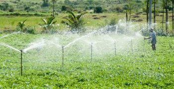 Gov't Unveils KSh220 Million Kanyuambora Irrigation Project