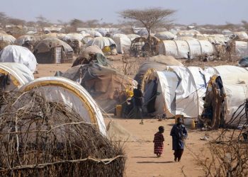 WFP Seeks $40 Million to Avert Food Crisis in Kenyan Refugee Camps