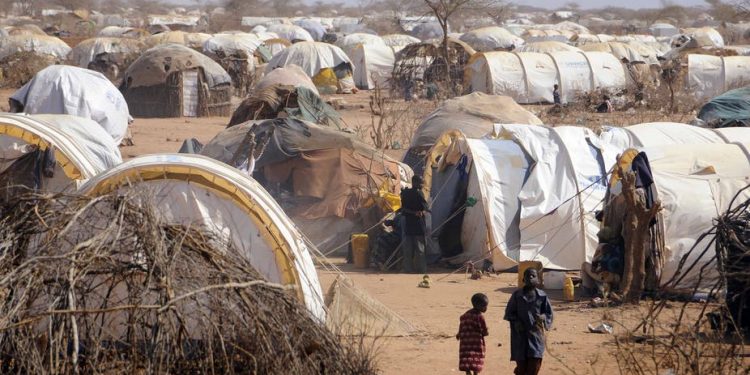 WFP Seeks $40 Million to Avert Food Crisis in Kenyan Refugee Camps