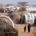 WFP Seeks $40 Million to Avert Food Crisis in Kenyan Refugee Camps