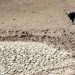 Kenya secures Kshs. 16B from World Bank for drought mitigation
