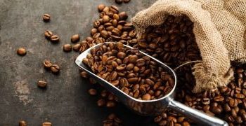 Ethiopia Fetches $1.4 Billion Revenue from Coffee Exports