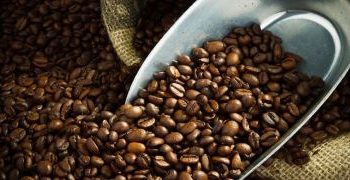 Weekly Coffee Auction Records an Increase in Prices