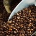 Weekly Coffee Auction Records an Increase in Prices