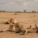 drought in Kenya