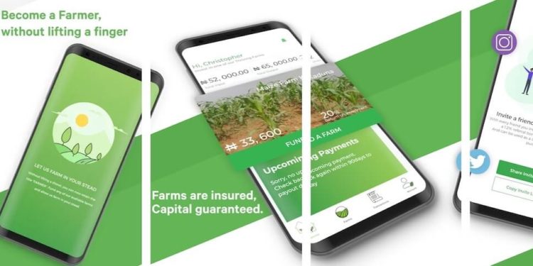 Nigeria's ThriveAgric Raises $56.4 Million in Debt Funding