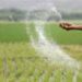 Treasury Avails KES 3.55 Billion for Fertilizer Subsidy