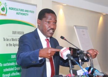 Kenya to Waive All Levies on Maize Imports