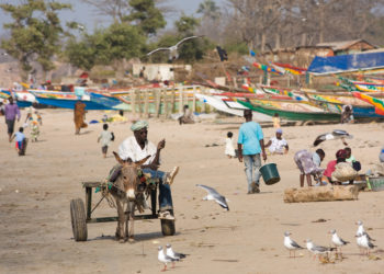 Gambia