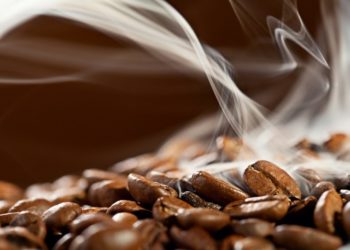 Coffee Exports Earnings Hit KES 25.2 Billion