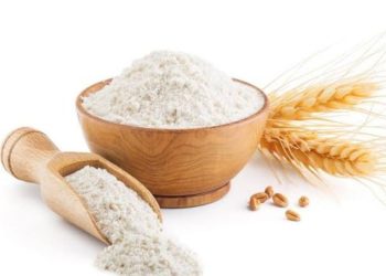 India to Impose Restrictions on Flour Exports to Protect Domestic Markets