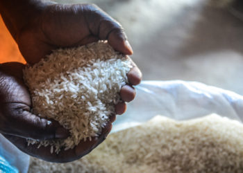 Uganda Removes VAT on Imported Rice from Tanzania
