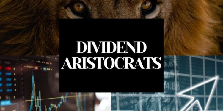dividend aristocrats. Source: https://images.app.goo.gl/hTMfcrRnmrYNJJmB9