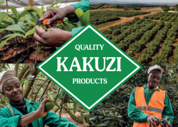 Kakuzi Plc Gets Nod to Ship 2nd Batch of Fresh Avocados to China