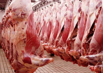 Tanzania's Meat Exports Hit $3.048 Million in August 2022