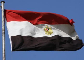 Egypt to Raise $6 Billion from Stake Sales of State-Owned Businesses