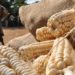 Uganda's Farmers & Millers Seek to Ban Maize Exports