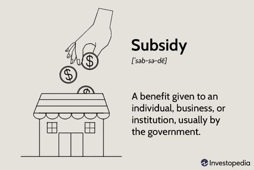 Subsidies. Image Source: https://www.investopedia.com/terms/s/subsidy.asp