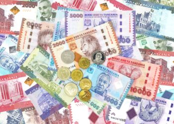Tanzania's Forex Reserves Drop to $4.96 Billion in September 2022