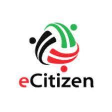 Government Takes Over E-Citizen Service Portal - Kenyan Wallstreet