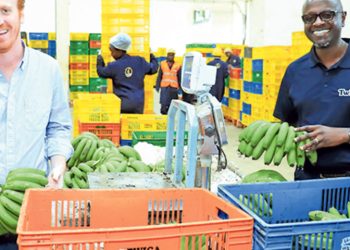 Grant Brooke (left) and Peter Njonjo (right) who founded Twiga Foods Ltd. PHOTO | JEFF ANGOTE | NMG