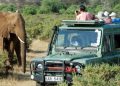 Game Drives in Tsavo National Park 750x450 1