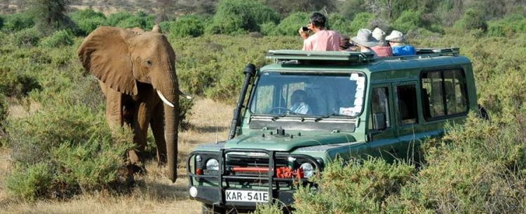 Game Drives in Tsavo National Park 750x450 1