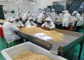 Workers at Embu's Privamnuts Factory