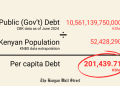 Public Debt