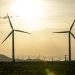 AfDB Funds Egypt Wind Project